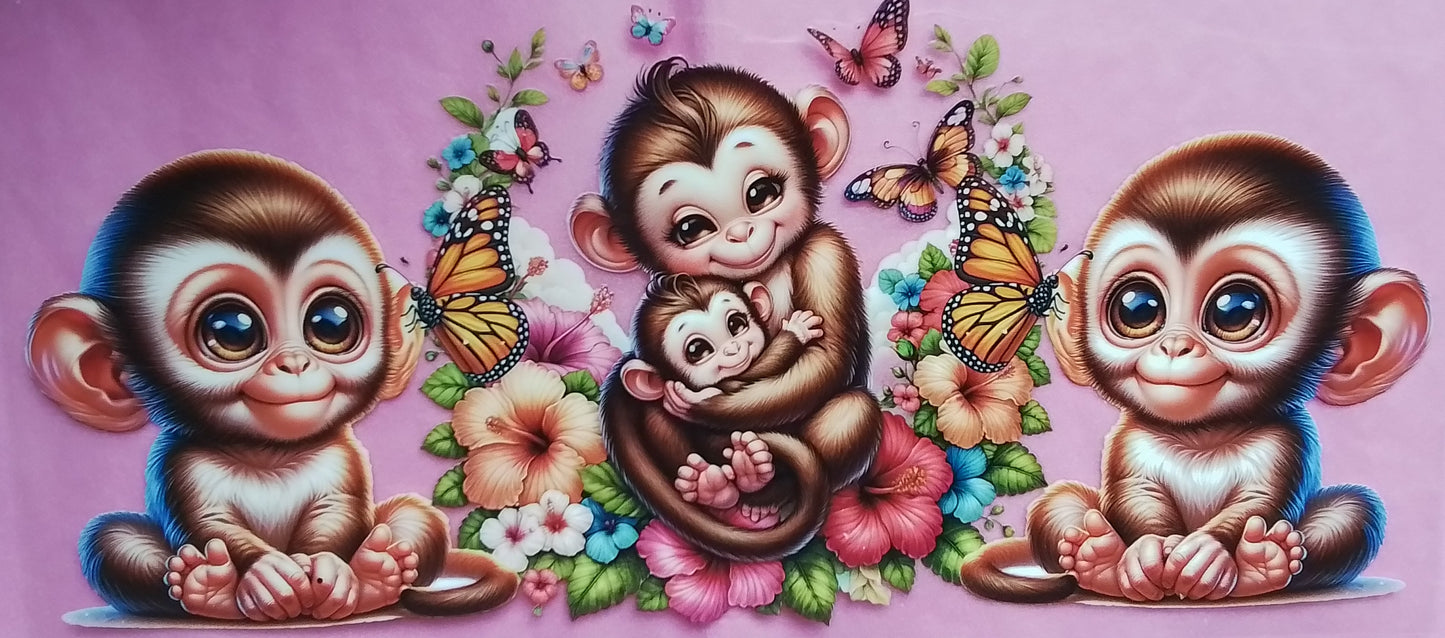 C-123 4 Monkeys - not for sale