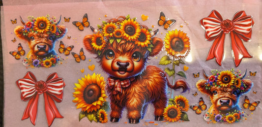 BOO2-C Highland cow Sunflower